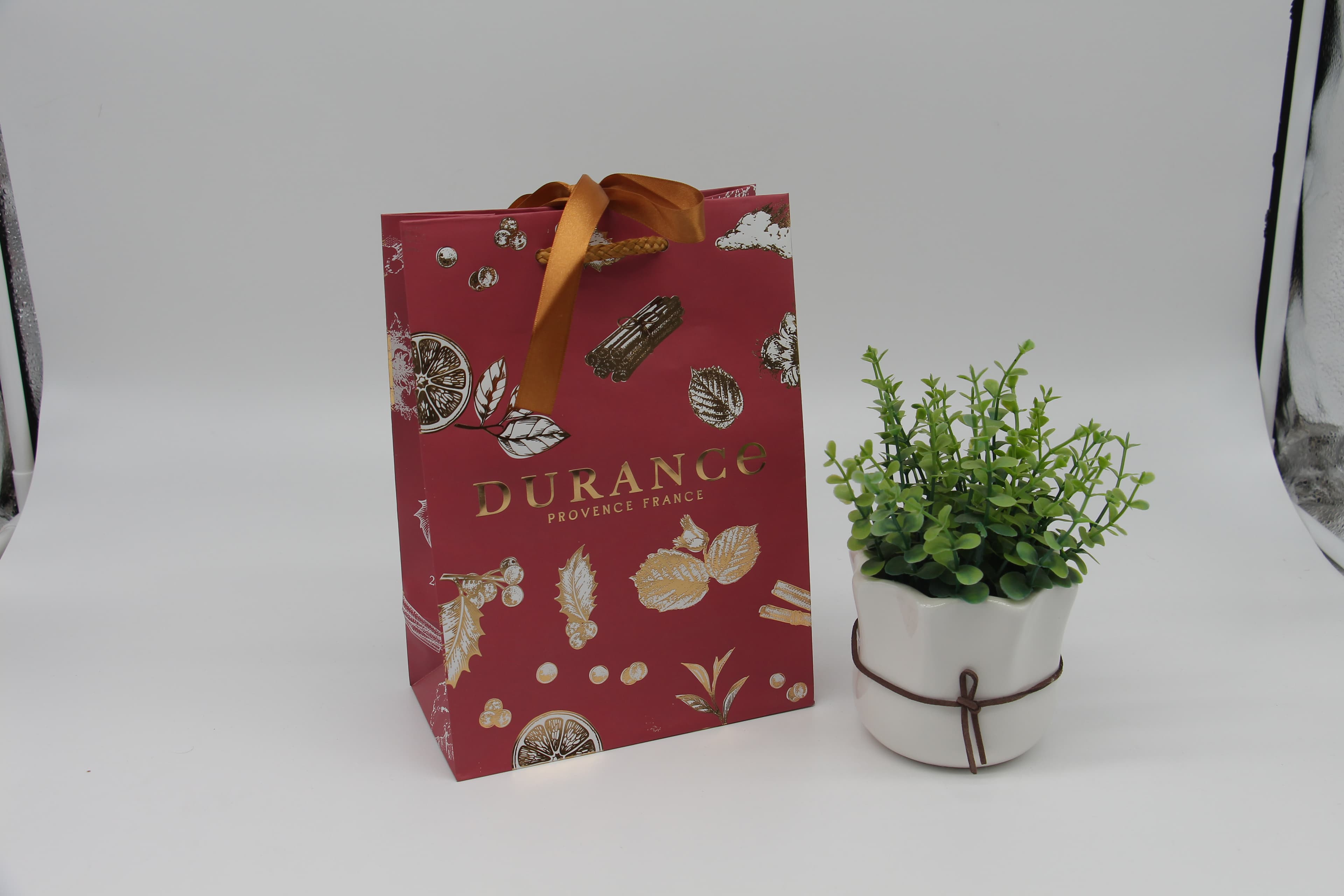 Kraft gift bag with twisted paper handle