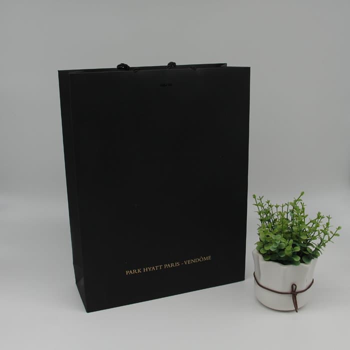 Custom Shape Paper Bag with Die-Cut Handle