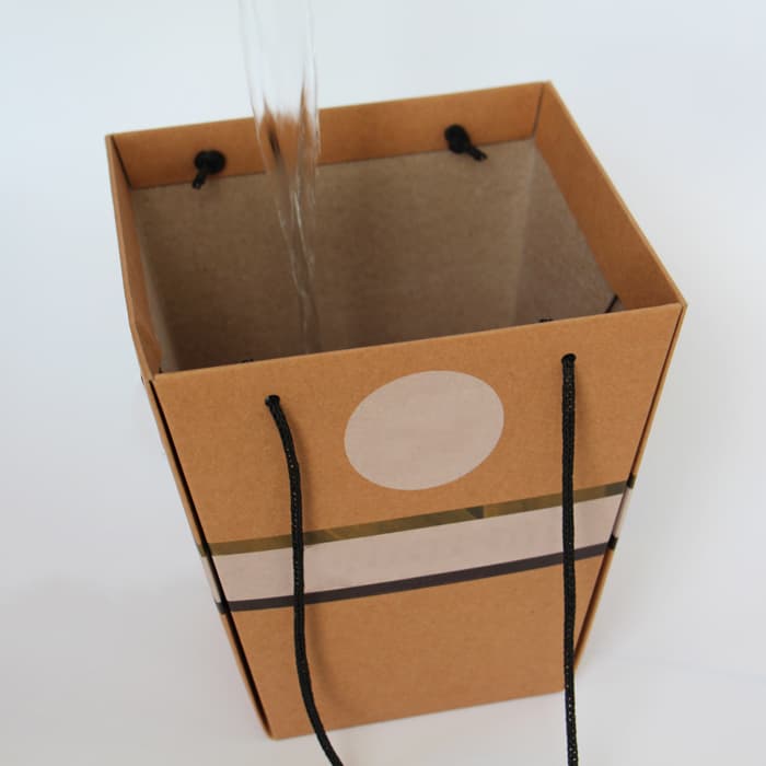 Tall cone flower paper bag