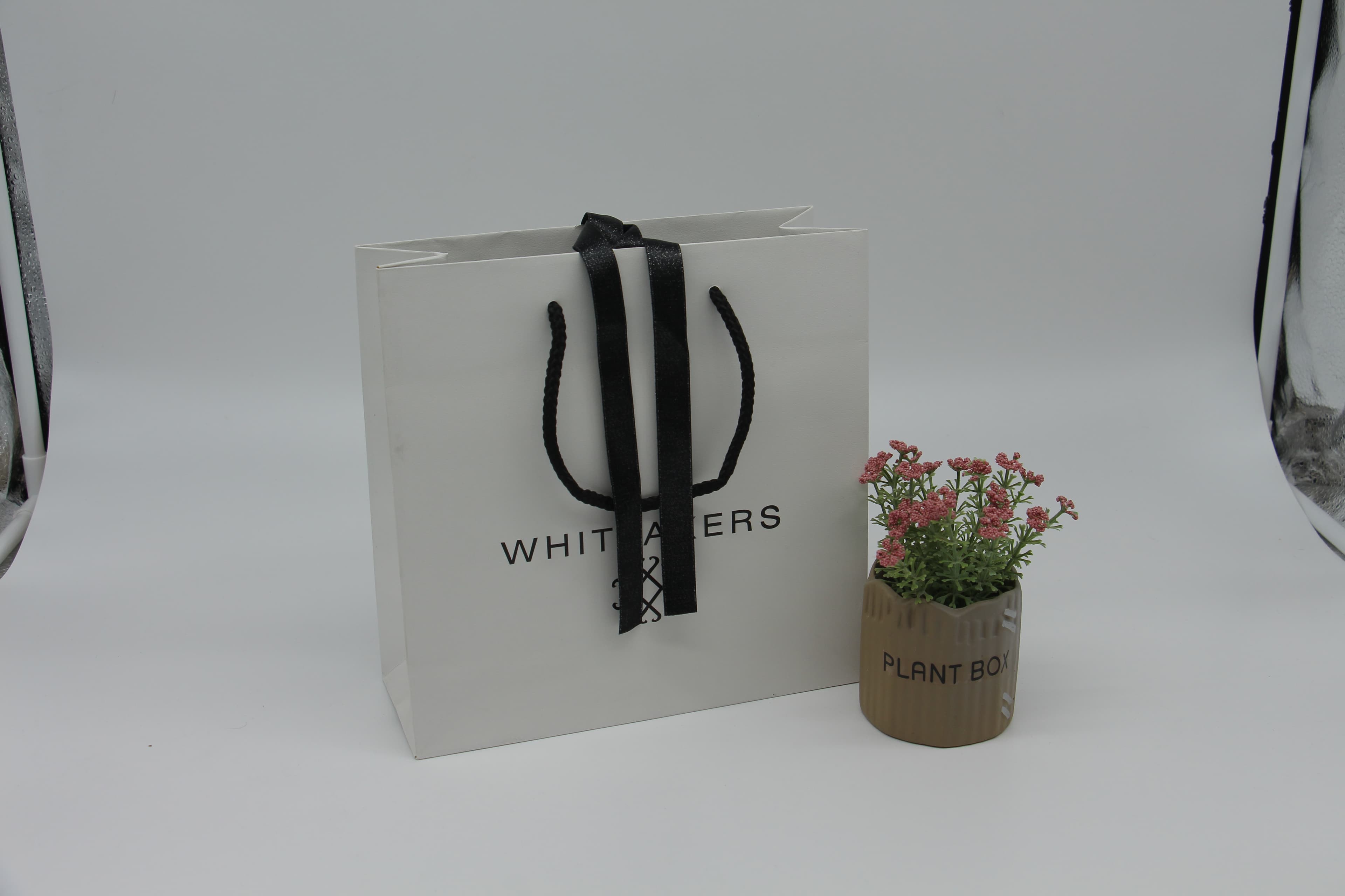 PBS-Coated Bakery Bag
